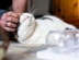 Paws-Protect-other-ways-foster.jpg